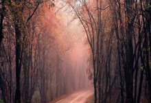 cq9电子：文化中国行丨永定林氏：干国家事 读圣贤书.