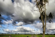 黎巴嫩主帥：球隊踢得相當出色，只是缺少運氣！.