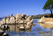 C羅參加世界杯進球總數據一覽.